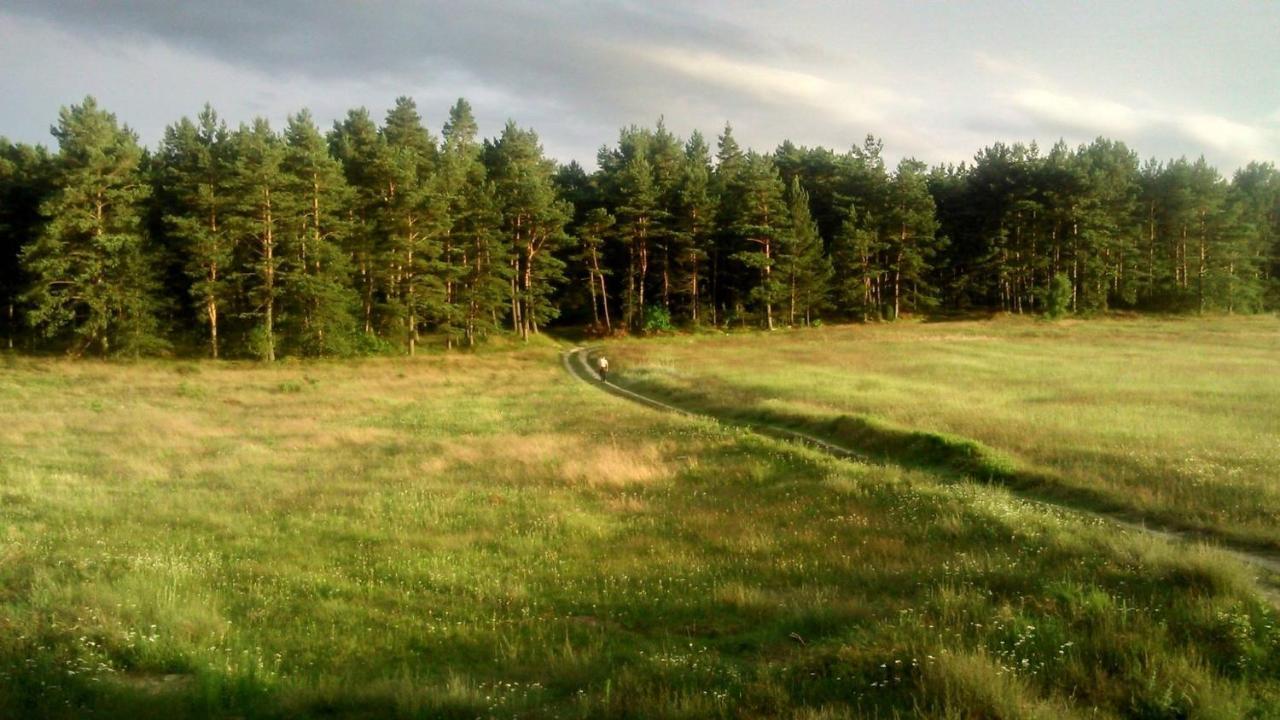 Pokoje Goscinne Weronika Ostrowo  Extérieur photo